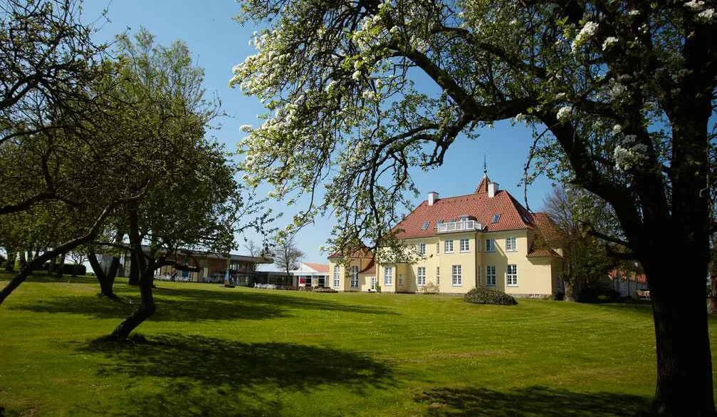 Featured image